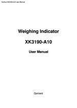 XK3190-A10 user
